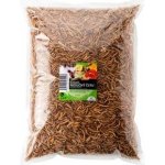 UGF sušený moučný červ 1 kg – Zboží Dáma