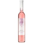Villa D'Or Muscat Moldovenesc rosé 11,5% 0,5 l (holá láhev) – Zbozi.Blesk.cz