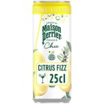 Perrier Chic Citrus Fizz 250 ml – Hledejceny.cz