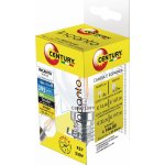 Century žárovka LED Vintage Mini Koule 4 W 480 lm 2700 K – Zboží Mobilmania