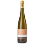 Weingut Wagner-Stempel Rotliegend Neu Bamberg Ryzlink rýnský suché bílé 2023 12,5% 0,75 l (holá láhev) – Hledejceny.cz
