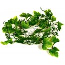 Lucky Reptile Jungle Vine Gape Leaf Vine 200 cm