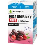 Swiss NatureVia Mega brusinky Akut 15 kapslí – Hledejceny.cz