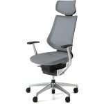 Kokuyo ING Gliderv s podhlavníkem – Hledejceny.cz