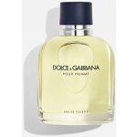 Dolce & Gabbana toaletní voda pánská 200 ml – Hledejceny.cz