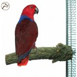 Back Zoo Nature Korkáč – Zboží Mobilmania