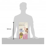 Cat Chow Kitten 1,5 kg – Hledejceny.cz