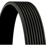 Drážkový řemen CONTINENTAL CTAM 8PK1100 | Zboží Auto