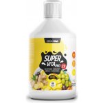 Czech Virus SuperVita PRO V2.0 500 ml Sweet Orange – Hledejceny.cz