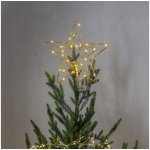 Eglo 411274 LED Venkovní vánoční dekorace TOPSY 30xLED 0,06W 3xAA IP44 EG411274 – Hledejceny.cz