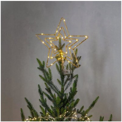 Eglo 411274 LED Venkovní vánoční dekorace TOPSY 30xLED 0,06W 3xAA IP44 EG411274 – Hledejceny.cz