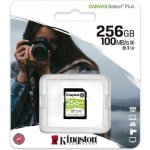 Kingston SDXC UHS-I U1 256 GB SDS2/256GB – Hledejceny.cz