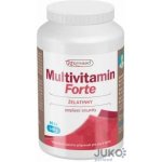 Nomaad Multivitamin Forte 140 g 40 ks želé – Hledejceny.cz