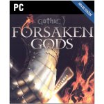 Gothic 3: Forsaken Gods (Enhanced Edition) – Hledejceny.cz