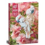 Cherry Pazzi Papoušci 1000 dílků – Sleviste.cz