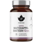 Puhdistamo Strong Lactic Acid Bacteria 60 kapslí – Hledejceny.cz