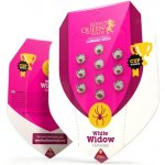 Royal Queen Seeds White Widow semena neobsahují THC 3 ks – Sleviste.cz