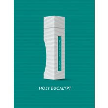 Linka Craft Room Mister sprej Holy Eucalypt 100 g