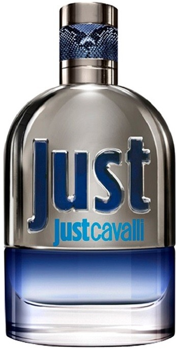 Roberto Cavalli Just Cavalli pánská 2013 toaletní voda pánská 30 ml