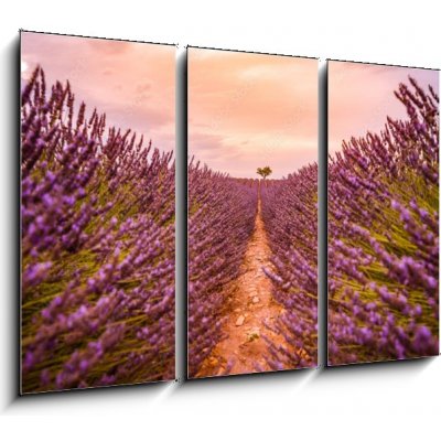 Obraz 3D třídílný - 105 x 70 cm - Dramatic sunset landscape. Tree in lavender field at sunset in Provence, France – Zbozi.Blesk.cz