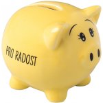 Albi Prasátko pro radost pokladnička Skvělé kamarádce 6 x 7,5 cm – Zboží Dáma