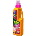 Agro Floria kapalné hnojivo pro muškáty 1 l – Zboží Mobilmania