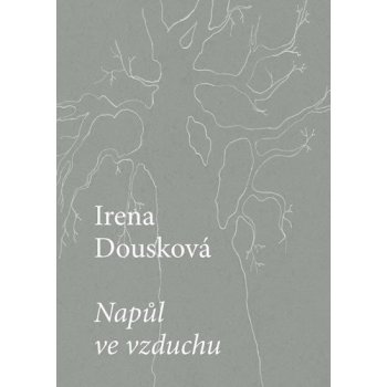 MARTIN REINER, Nakladatelství Druhé město Napůl ve vzduchu