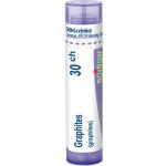 GRAPHITES POR 30CH GRA 4G – Hledejceny.cz