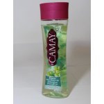 Camay Dejour sprchový gel 250 ml – Zboží Mobilmania