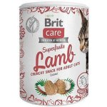 Brit Care Snack Superfruits Lamb Adult 100 g – Zboží Mobilmania