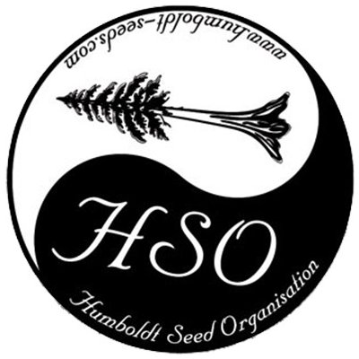 Humboldt Seeds Black D.O.G. 25ks (Feminizovaná semena Black D.O.G. 25ks)