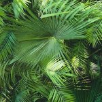 A.S. Création 362001 vliesová tapeta na zeď Neue Bude 2.0 rozměry 0,53 x 10,05 m – Zboží Mobilmania