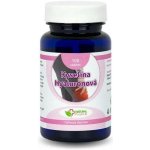 Natural Pharm Kyselina hyaluronová 100 tablet – Hledejceny.cz