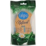 Calypso viskózní houba na peeling – Sleviste.cz