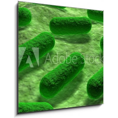 Obraz 1D - 50 x 50 cm - E coli Bacteria. Bakterie E coli. – Zbozi.Blesk.cz