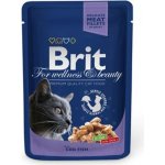 Brit Premium Cat Cod Fish 100 g – Hledejceny.cz
