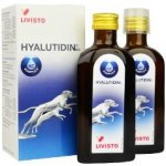 Hyalutidin DC ACTIV pro psy a kočky 2 x 125 ml – Sleviste.cz