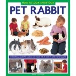 How to Look After Your Pet Rabbit – Hledejceny.cz