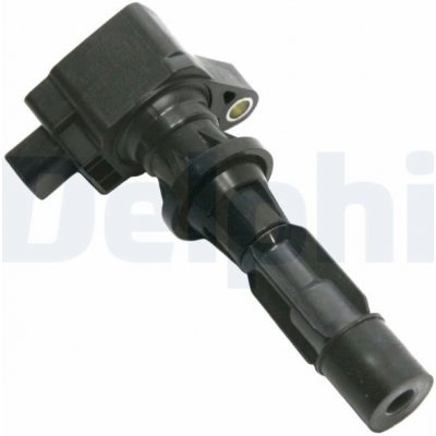 Zapalovací cívka DELPHI GN10251-12B1 – Hledejceny.cz