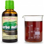 Bylinné kapky Yerba maté kapky tinktura 50 ml – Hledejceny.cz