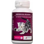 Univit ROBORAN chondro gel pro kočky 60 g – Hledejceny.cz