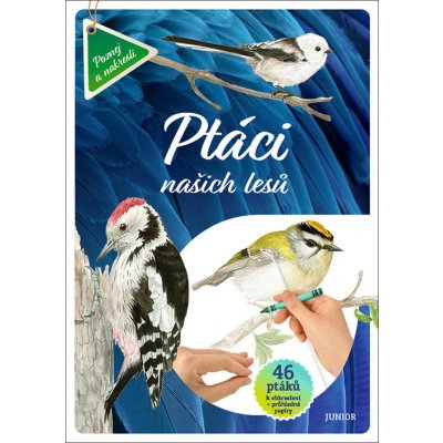 Ptáci našich lesů - 46 ptáků k obkreslení + průhledné papíry – Zbozi.Blesk.cz