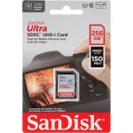 SanDisk SDXC Class 10 256 GB SDSDUNC-256G-GN6IN – Sleviste.cz