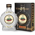R. Jelínek Pálenka z Višní 42% 0,2 l (karton) – Sleviste.cz