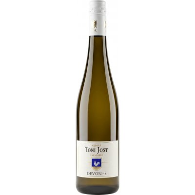 Toni Jost Devon Ryzlink rýnský suché bílé 2021 13,5% 0,75 l (holá láhev) – Hledejceny.cz