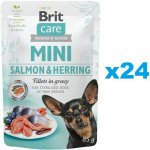 Brit Care Mini Losos a sleď sterilovaný 24 x 85 g – Sleviste.cz