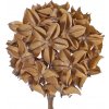 Květina 'Sušený' anýz imitace, dekorativní koule umělá Ø 10cm, béžová, na stonku 70cm