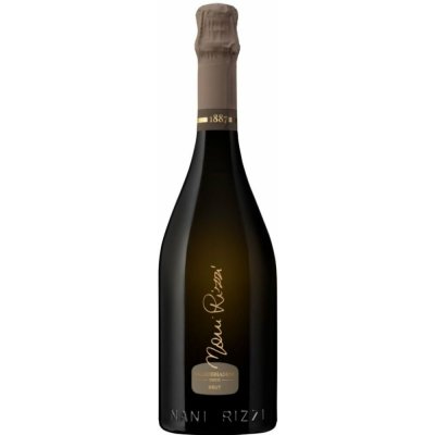 Nani Rizzi Prosecco Valdobbiadene Spumante DOCG Brut 11,5% 1,5 l (holá láhev) – Sleviste.cz