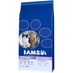 Iams Multi Cat Households s lososem 2 x 15 kg – Sleviste.cz