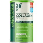 Great Lakes Collagen Hydrolysate, Hydrolyzovaný kolagen bez příchuti 454 g – Hledejceny.cz